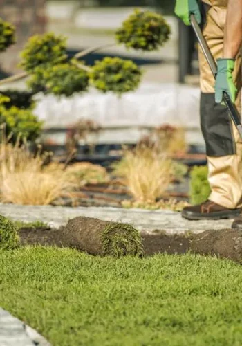 featured-image-landscaping-contractor